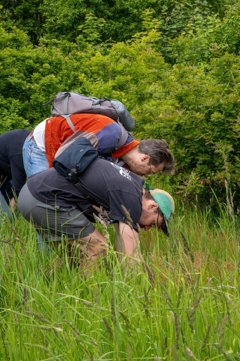 Attendees picking plants on a foraging course.