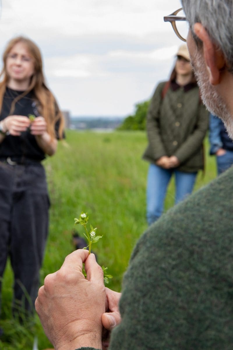 Participants on a foraging course.